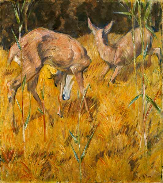Rehe im Schilf von Franz Marc