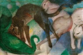 Spielende Katzen (Katzenbild)