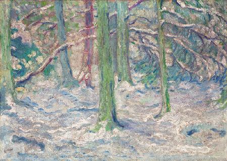 Verschneiter Wald 1909