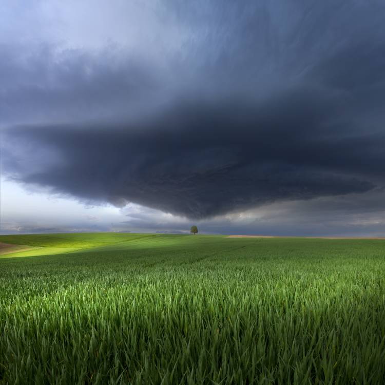 Thunderstorm cell over the Alb plateau von Franz Schumacher