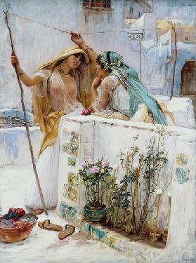 Die Nachbarn, Terrassen von Algier