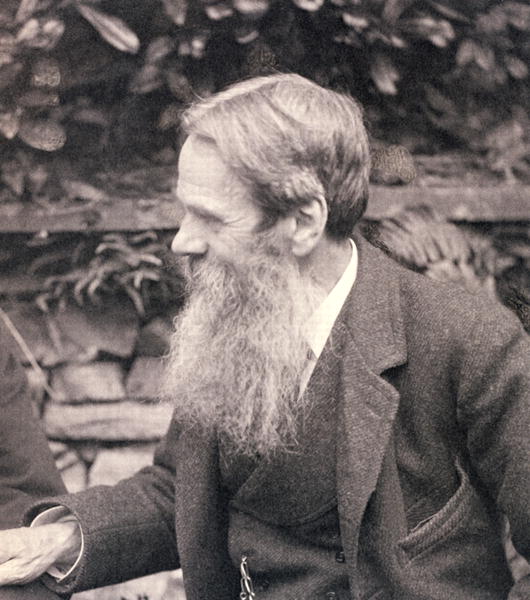 Portrait of William Holman Hunt (1827-1910) (b&w photo)  von Frederick Hollyer