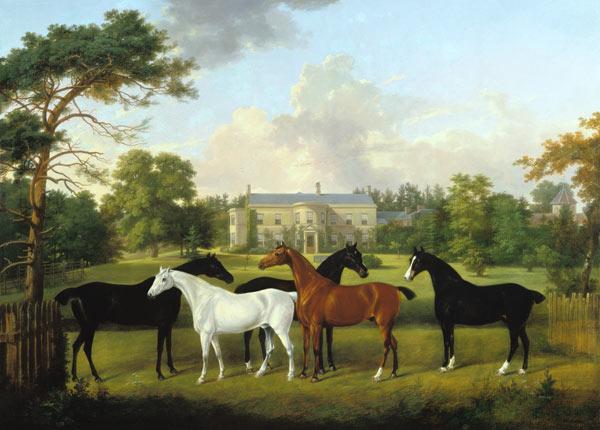 Fünf Rennpferde vor einem englischen Landhaus.