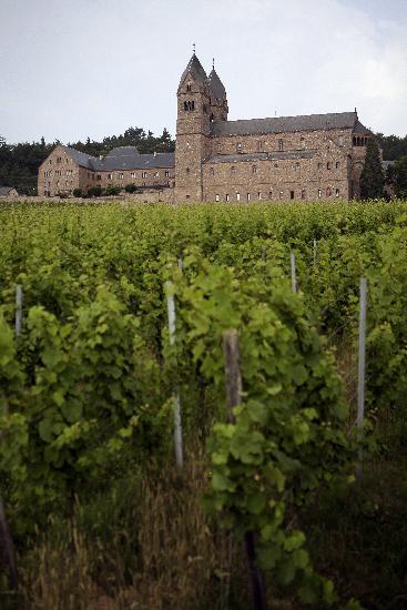 Benediktinerinnen-Abtei St. Hildegard von Fredrik Von Erichsen