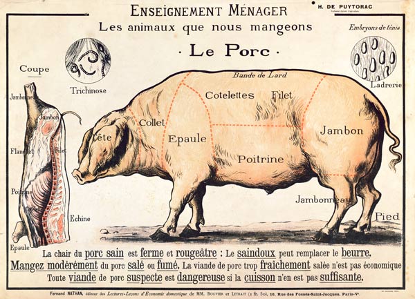 Cuts of Pork, illustration from a French Domestic Science Manual by H. de Puytorac
(colour litho) von French School, (20th century)