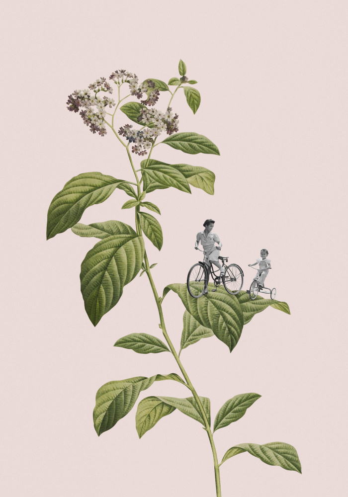 Botanical cycling von Frida Floral Studio