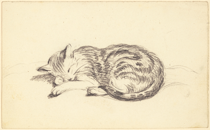 Schlafende Katze von Friedrich Wilhelm Hirt