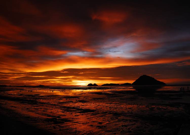 colours von Fulvio Pellegrini