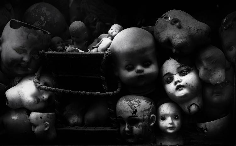 fixed gaze von Fulvio Pellegrini