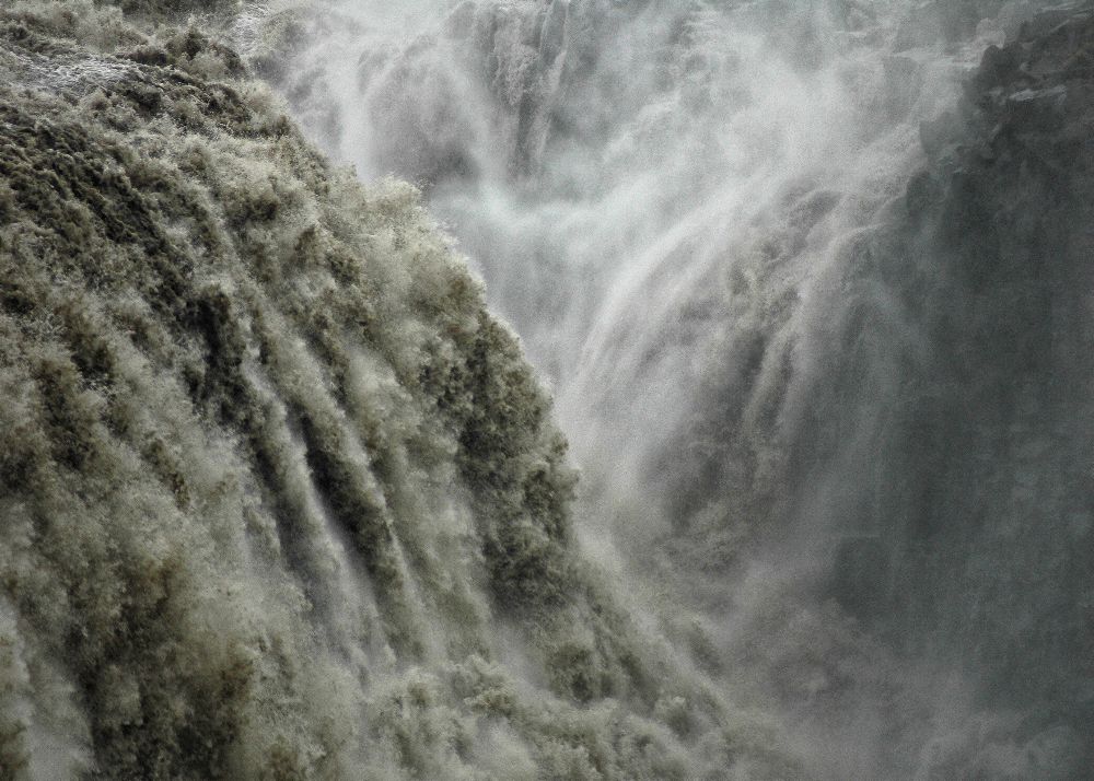 Leistung von Fulvio Pellegrini