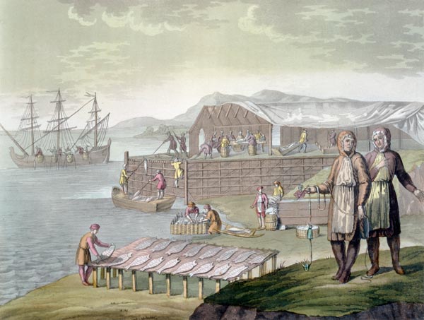 The fishing industry, Newfoundland, from 'Le Costume Ancien et Moderne', Volume II, plate 36, by Jul von G. Bramati