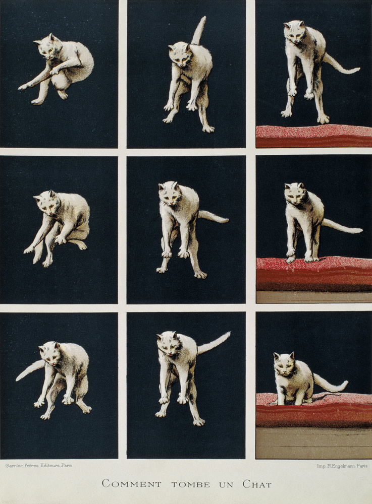 How a Cat Falls, from 'Les Dernieres Merveilles de la Science' by Daniel Bellet von G. Lasellaz