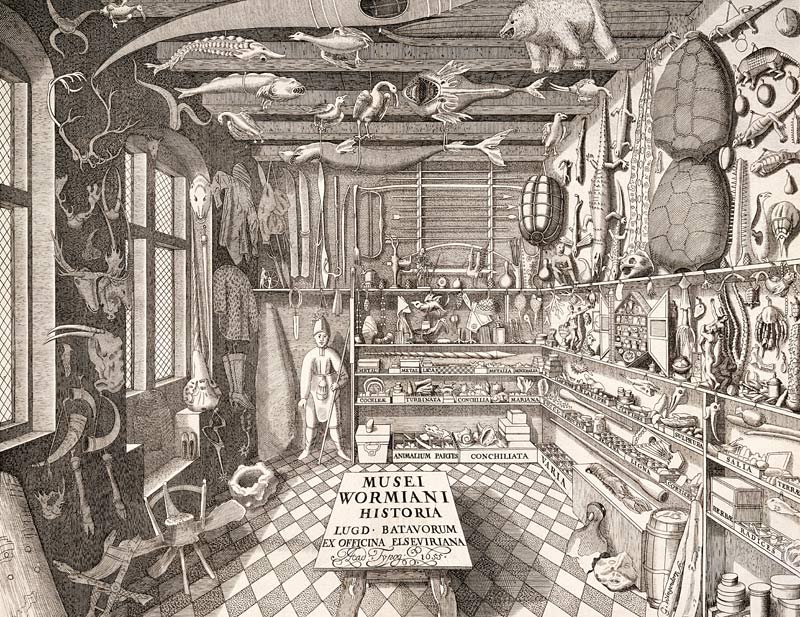 Museum of Ole Worm, Leiden von G. Wingendorp