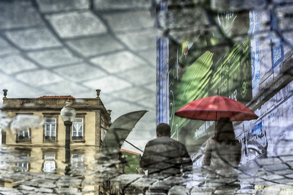 Winter days von Gabi Pontes