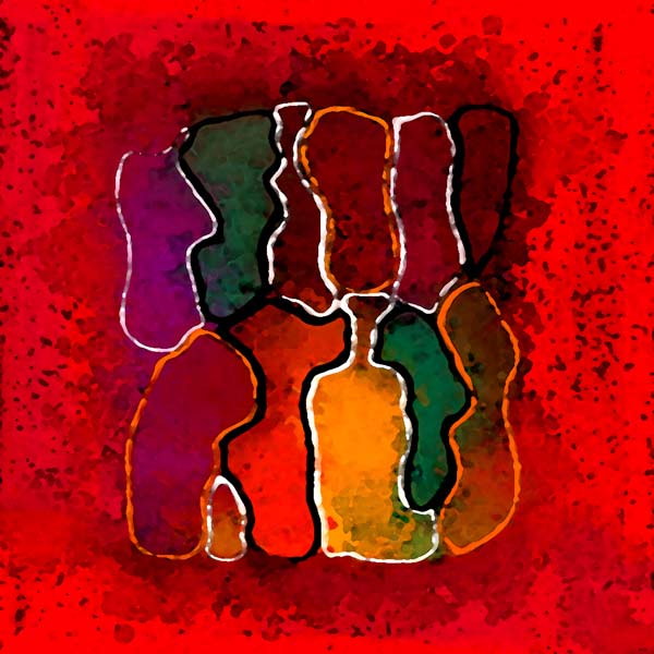 Puzzle von David Ganssi