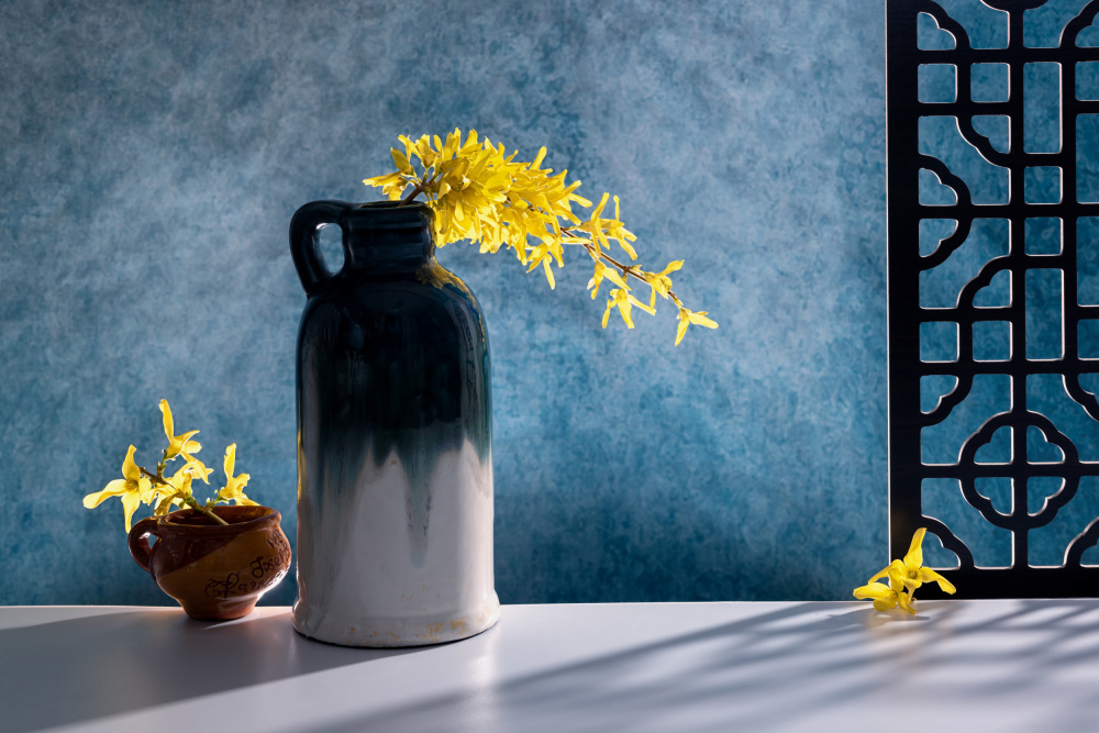 Flowers by the window von GaoSL