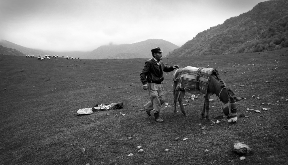 Shepherd with donkey von Garik