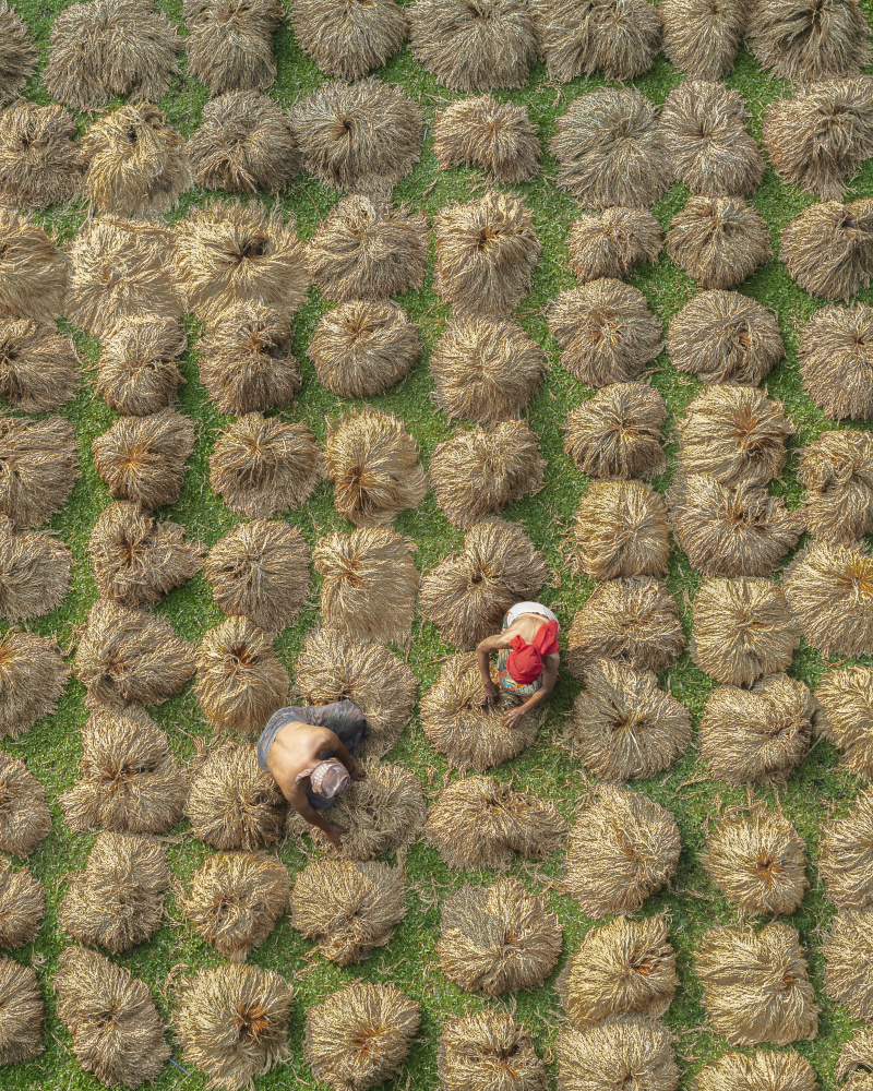 Drying the Paddy von Gatot Herliyanto