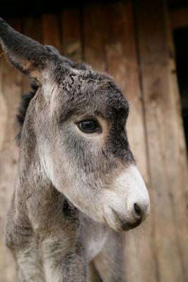 Toskana07 von Georg R Brenner