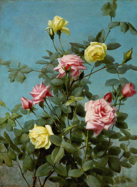 Rosen, rosa und gelb. von George Cochran Lambdin