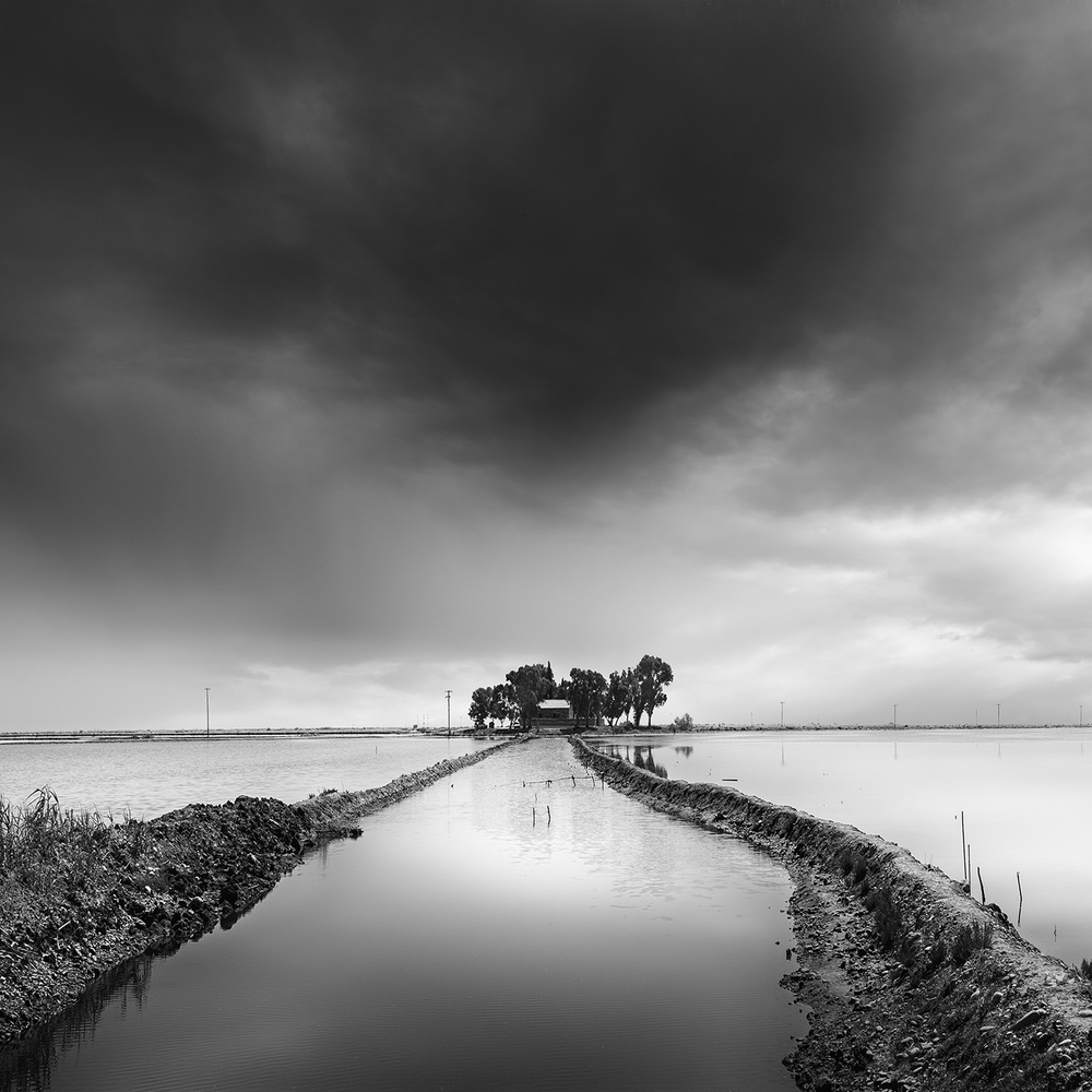 Missolonghi Lagoon 007 von George Digalakis