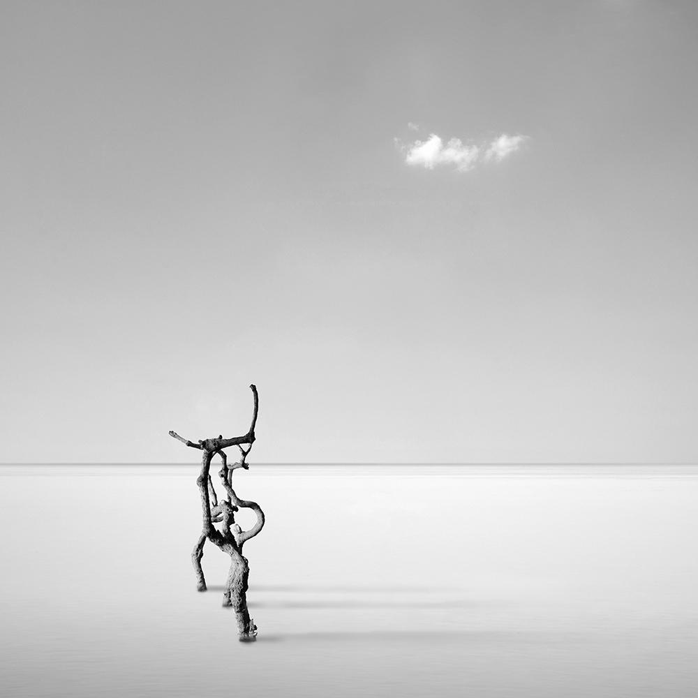 Silver Serenity von George Digalakis