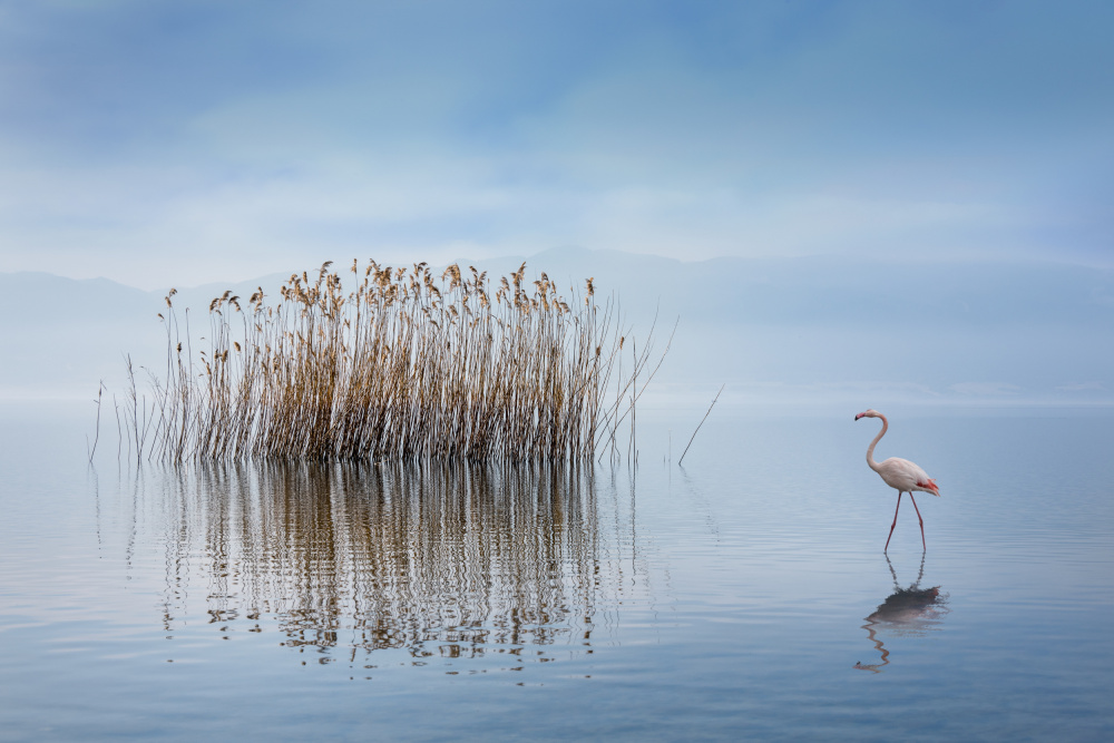Volvi Lake von George Digalakis