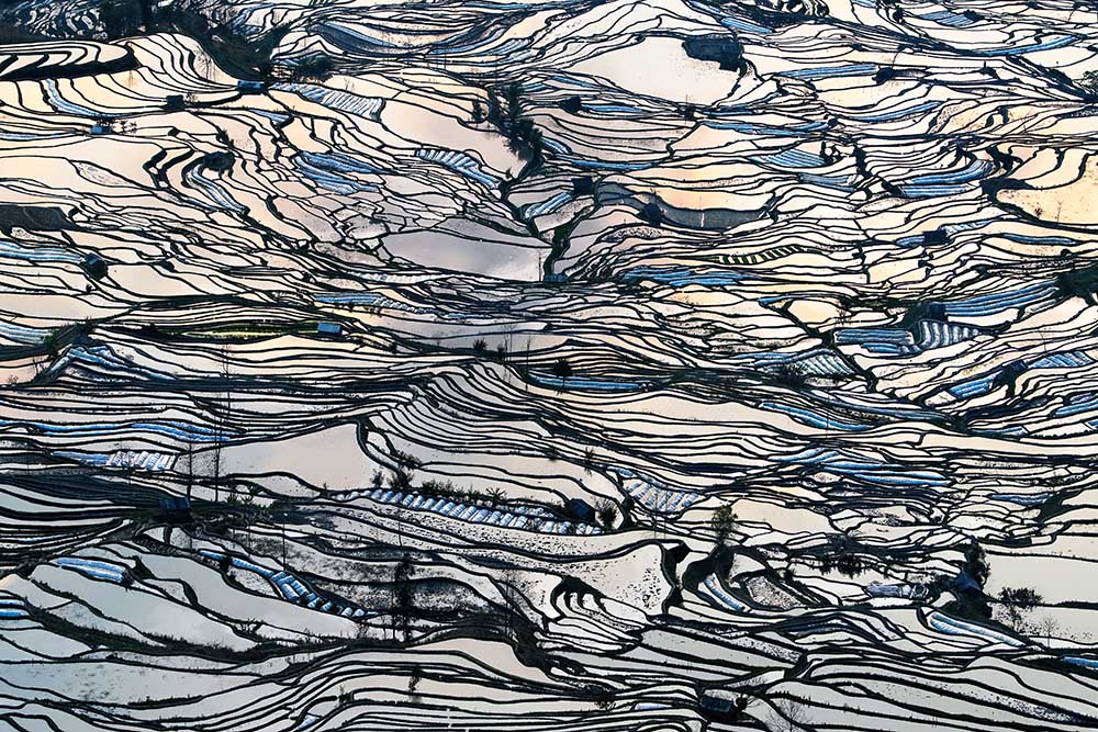 Erdteppich von George Doupas