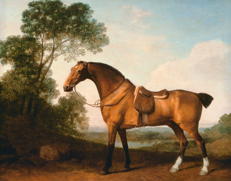 A Saddled Bay Hunter (Ein gesattelter Bay Hunter) von George Stubbs