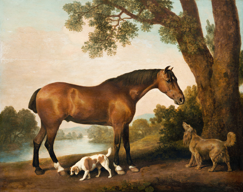 Ein Brauner, ein Springer Spaniel und ein Sussex Spaniel von George Stubbs