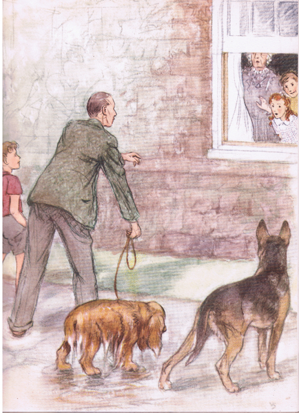 The spaniels were dripping with mud and slime, from Pets Limited published by Collins, 1950 von George Vernon Stokes