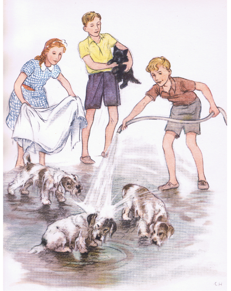 Washing the dogs, from Pets Limited published by Collins, 1950 von George Vernon Stokes