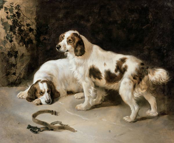 Brittany Spaniels von George W. Horlor