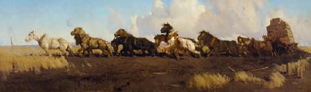 Durch die schwarzerdige Prärie 1899