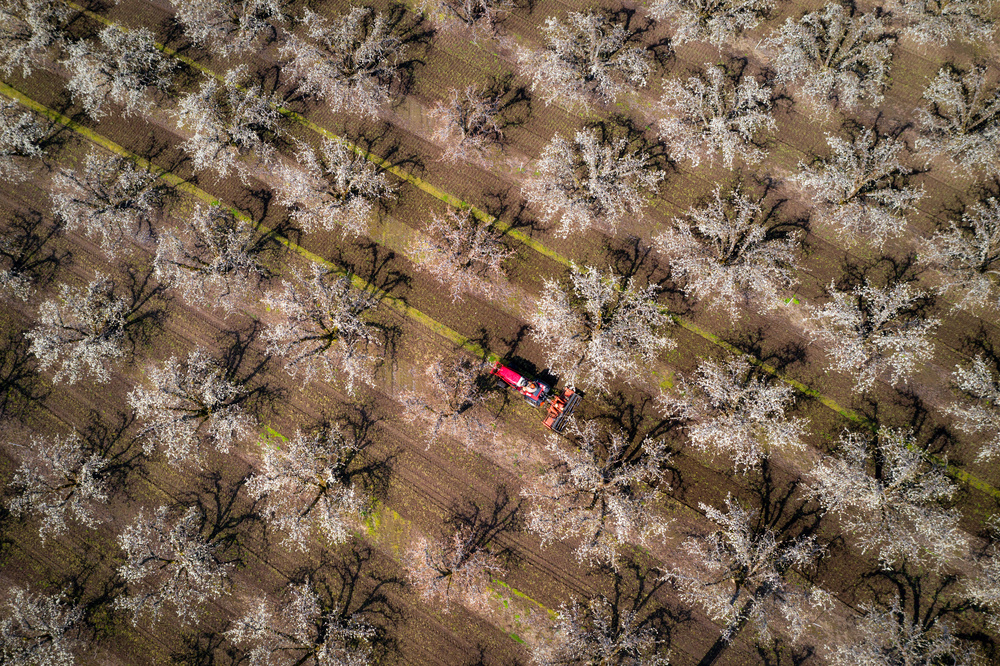 Spring time! von Gerald Macua