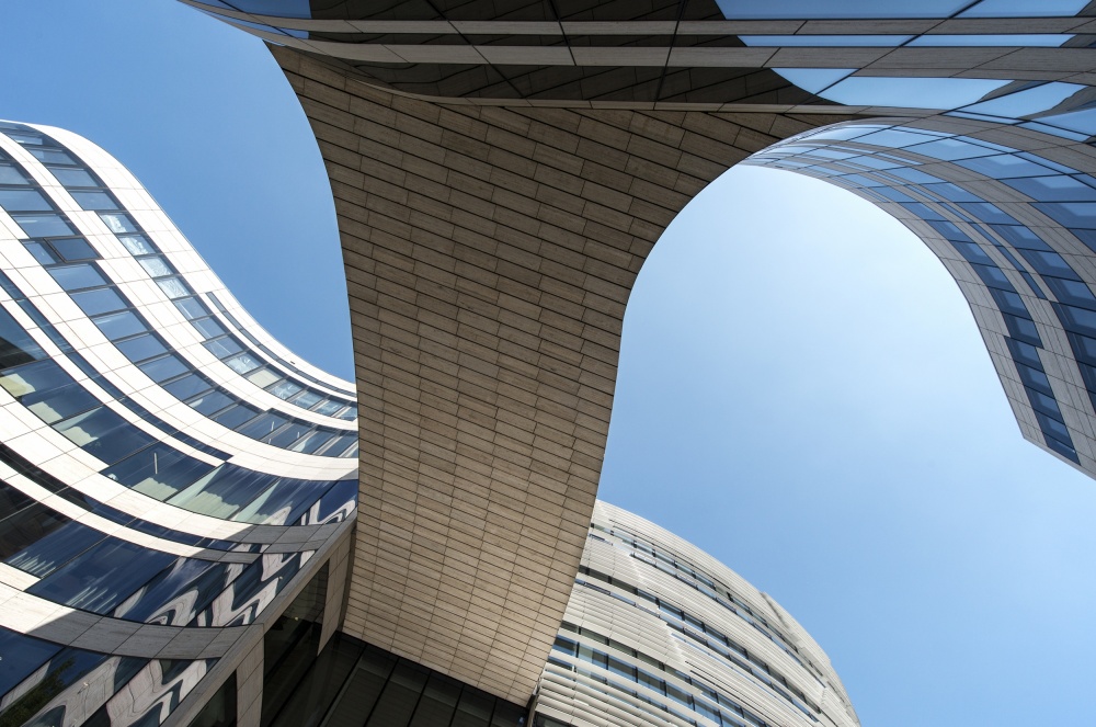 Hold on Tight von Gerard Jonkman