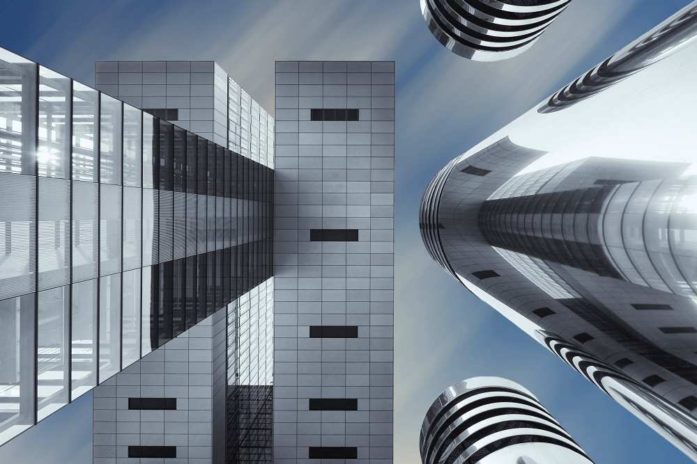 Symbiosis von Gerard Jonkman