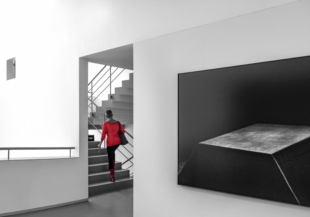 Red von Gerard Valckx