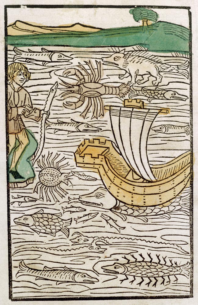 Fish, from 'Puch der Natur', published Augsburg von German School