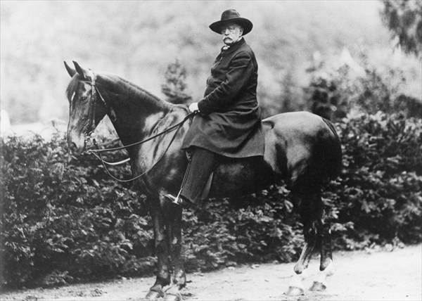 Prince Bismarck in Friedrichsruh, 1890 (b/w photo)  von German School