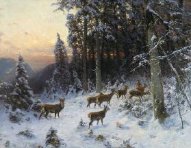 A winter evening in the Black Forest