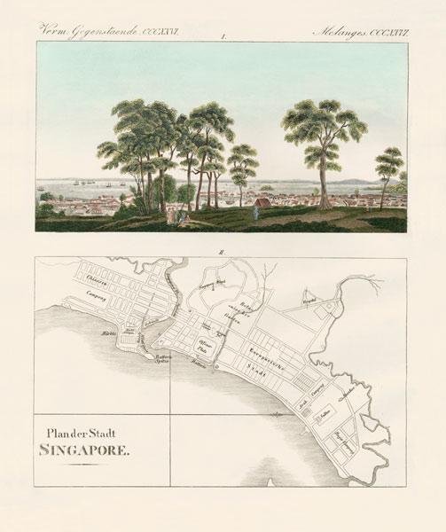 View and map of the East Indian establishment Singapore