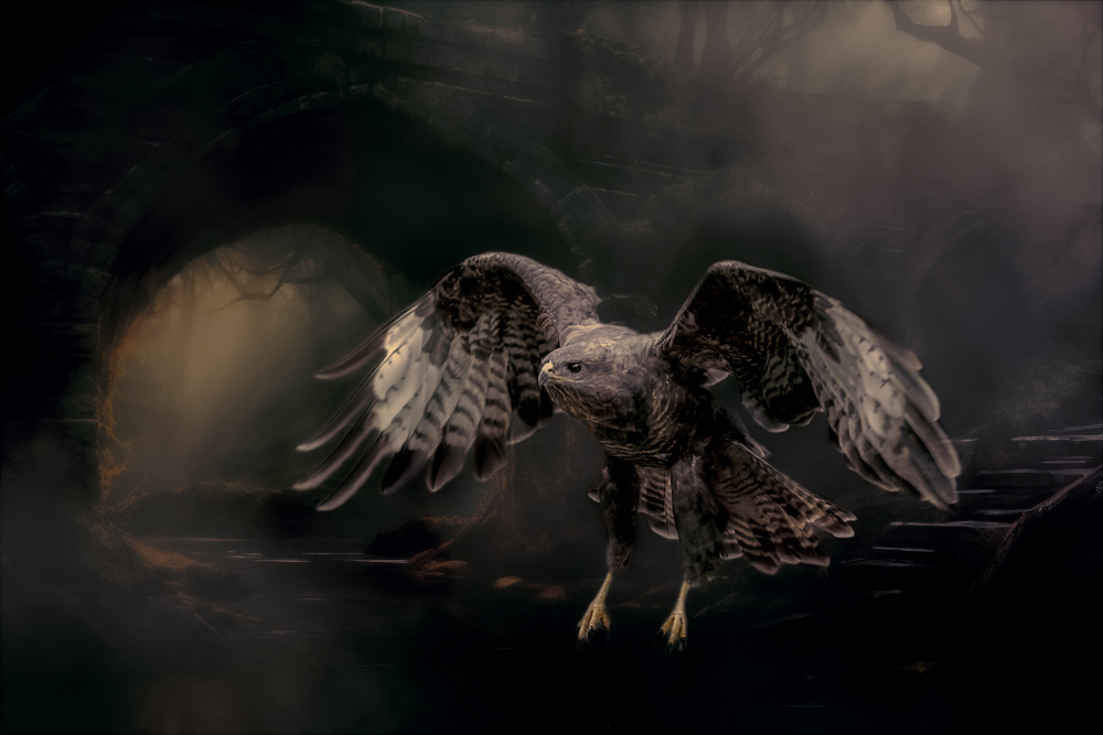 Surrealistic von Gert J ter Horst