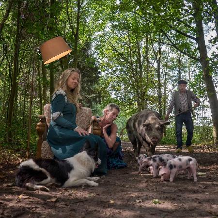 Oh, those piglets are cute!