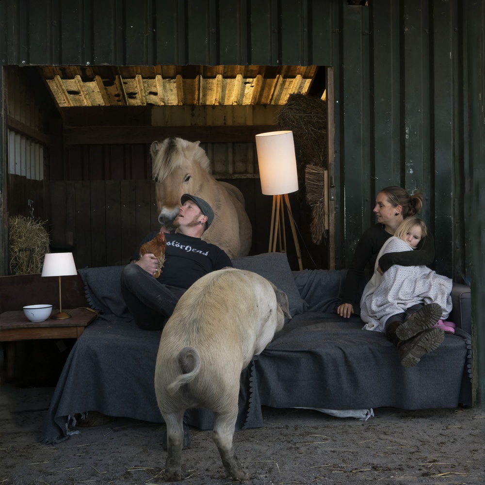 Sundays 2 von Gert van den Bosch