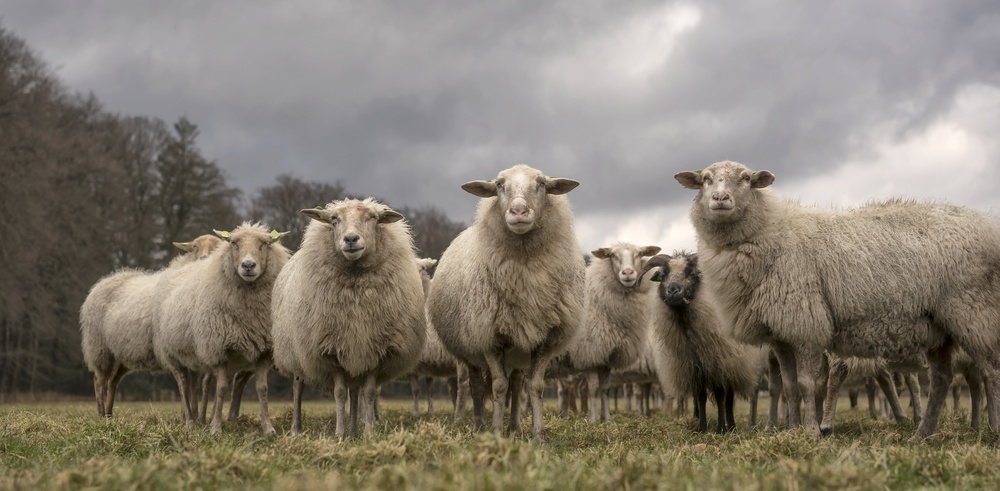 We want you out of our food von Gert van den Bosch