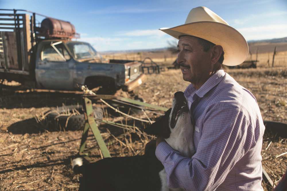 La fin del dA¬a en el Rancho. von Giacomo Bruno