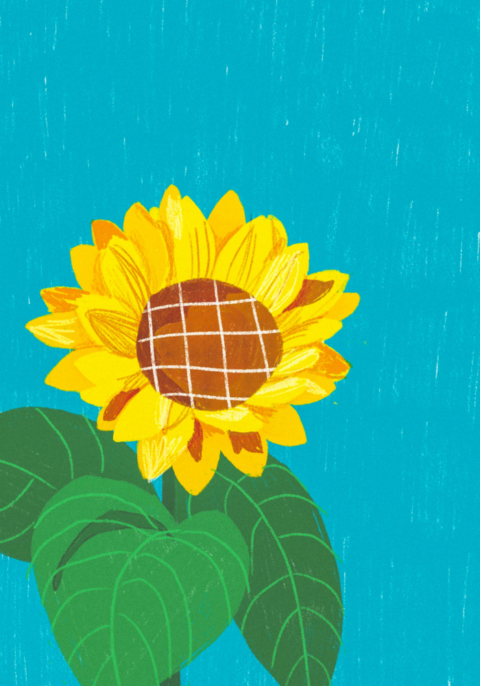Sunflower von Gigi Rosado