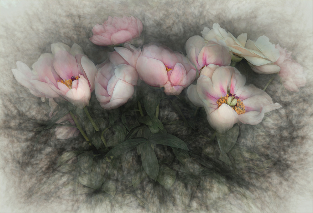 charm of nature von Gilbert Claes