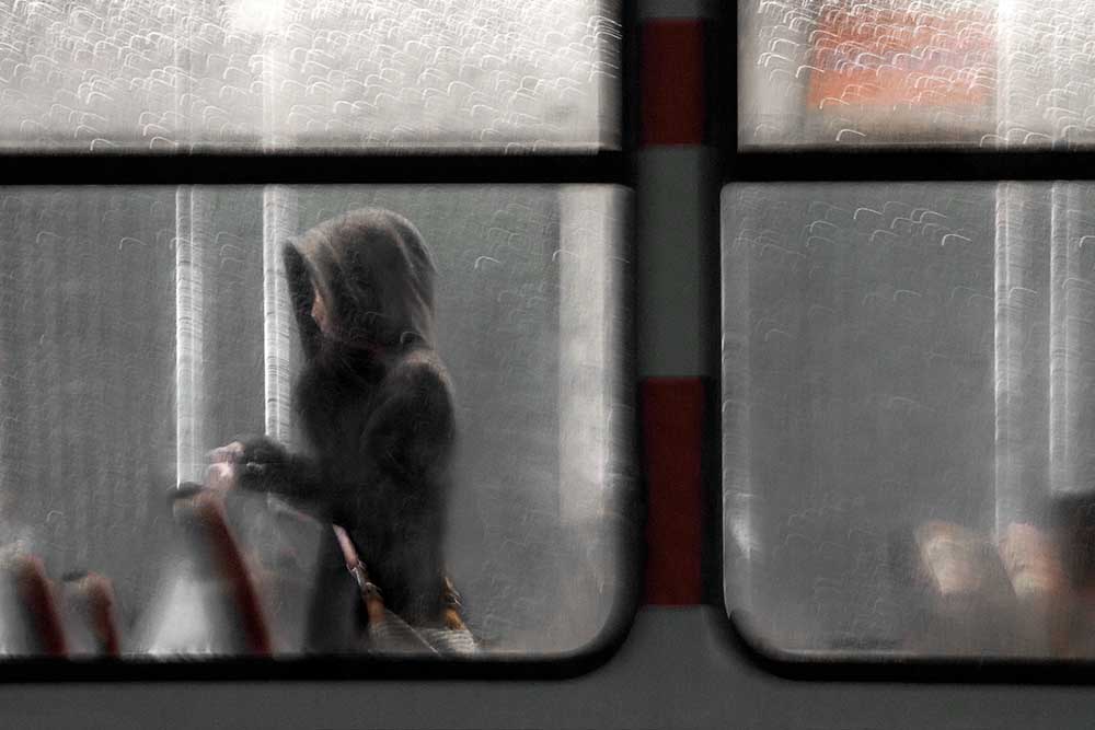 der Blick von Gilbert Claes